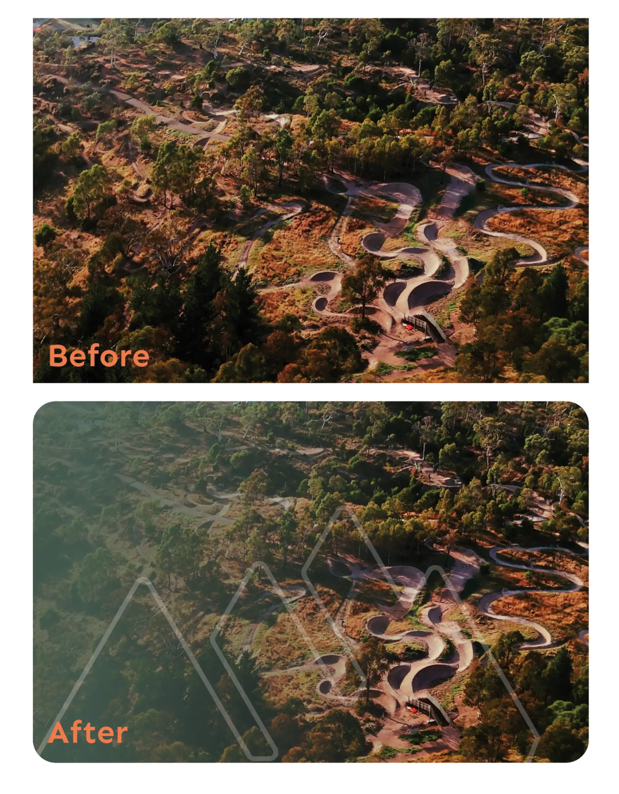 Omeo Graphic Elements